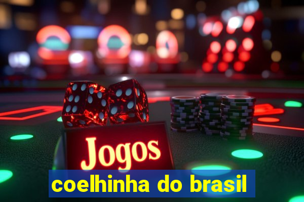 coelhinha do brasil